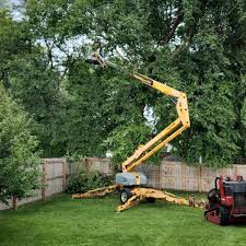 Best Lot and Land Clearing  in Lorenzo, TX